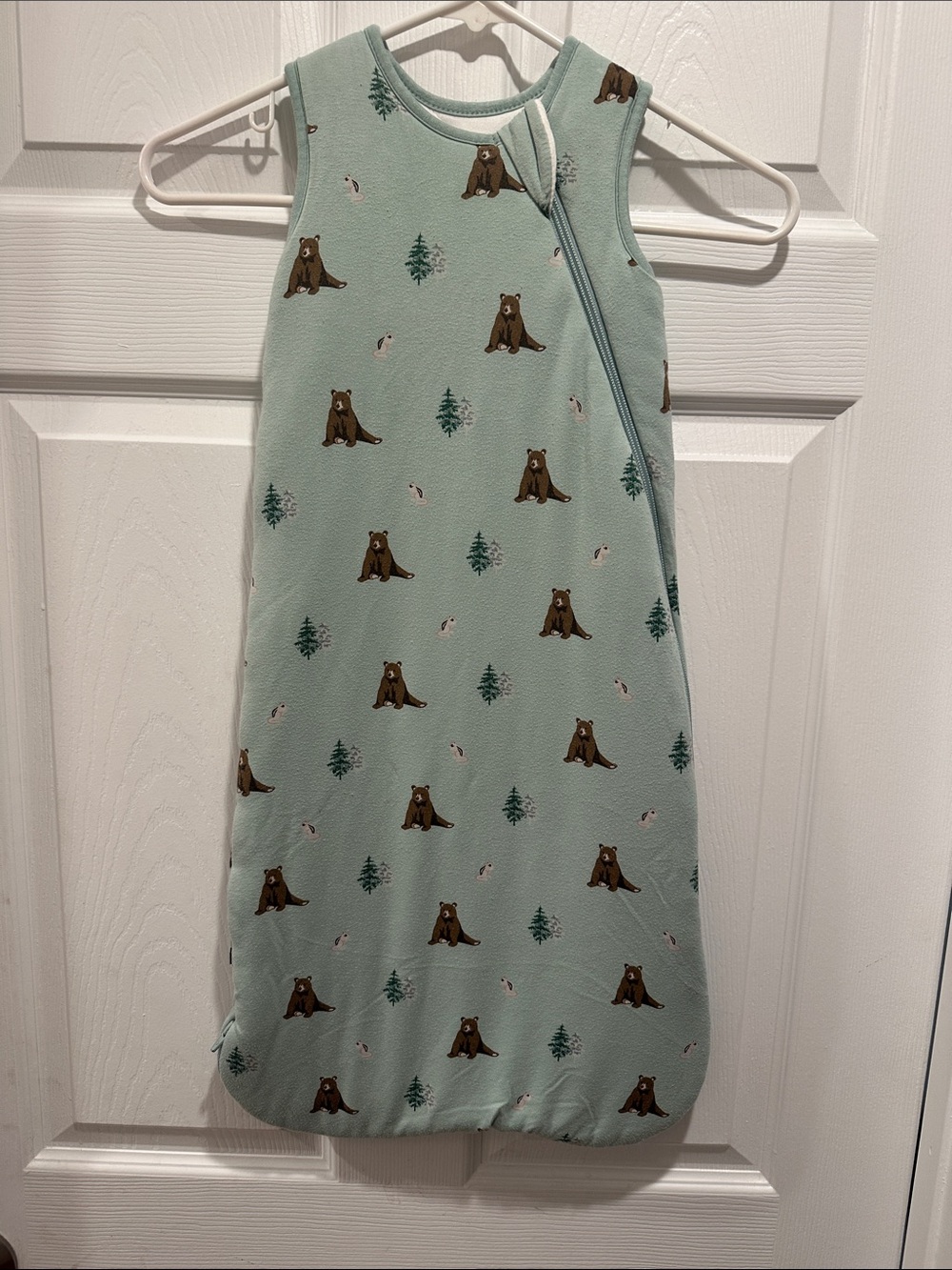 Kyte BABY Mint Green Bear Print Sleeveless Sleep Sack